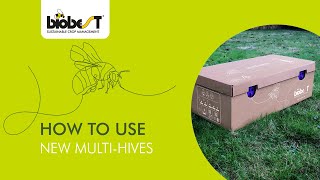 How to use the new MultiHives from Biobest [upl. by Eniaral]