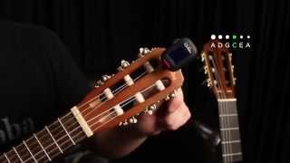 How to Tune Your Guilele [upl. by Dougy]