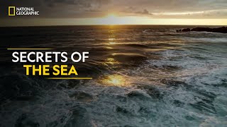 Secrets of the Sea  Hostile Planet  Full Episode S01E02  हिन्दी  National Geographic [upl. by Aserehtairam]