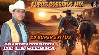 El Tigrillo Palma Corridos Pesados Mix Para Pistear  30 Exitos  Canciones Corridos [upl. by Athenian]