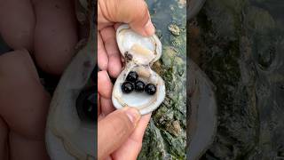 Unbredictdble pearls in clam found bushcraft clam snail [upl. by Pelagi159]