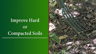 How To Improve Clay Soil  Loosen Aerate Compacted Soil [upl. by Andi]