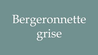 How to Pronounce Bergeronnette grise Grey wagtail Correctly in French [upl. by Holmen526]