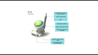 Baolai P7L dental piezo ultrasonic scaler cavitron with light CE and FDA certified [upl. by Kcirdneked]