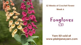 Foxglove 3Flower of Week 6 [upl. by Ramsdell77]