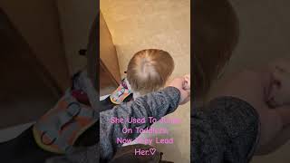 Toddlers Leearn To Walk Dog ● Shih Tzu Training smalldogtraining familydogtraining dogtraining [upl. by Axela]