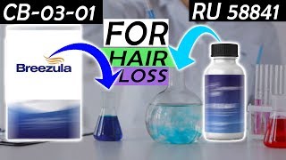 RU 58841 vs BreezulaCB0301 Pros and Cons for Hair Loss [upl. by Eilsil]