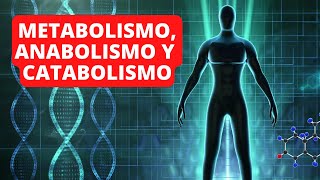 Metabolismo anabolismo y catabolismo explicación diferencias y ejemplos👨‍🔬 [upl. by Nivled]