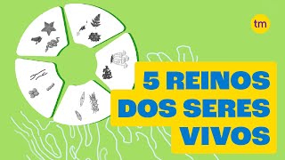 Conheça os 5 Reinos dos seres vivos [upl. by Randal877]