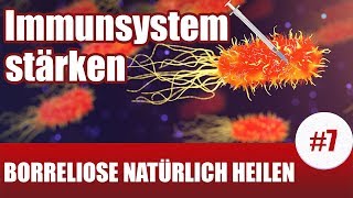 BorrelioseTherapie  Diese Pflanzen stärken dein Immunsystem Borreliose Behandlung natürlich 7 [upl. by Koziel]