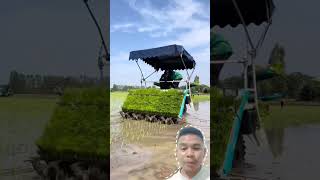 This is the best rice planting tool❗reaction reactionvideo videoreaction technology [upl. by Eidorb770]