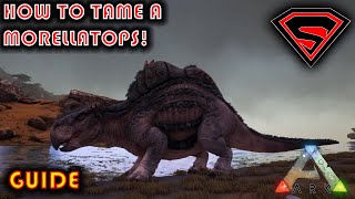 ARK HOW TO TAME A MORELLATOPS 2020  EVERYTHING YOU NEED TO KNOW ABOUT TAMING A MORELLATOPS [upl. by Floridia]