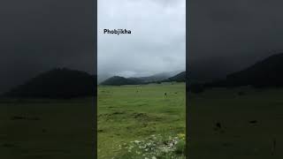 punakha bhutan phobjikha [upl. by Demy405]