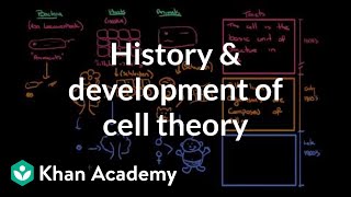 History and development of cell theory  Cells  MCAT  Khan Academy [upl. by Adaner]