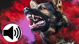 ANGRY Dogs Barking Sound Effect [upl. by Ieluuk]