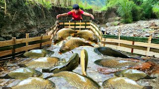 Using bamboo to make fish traps using the ancient method The boy caught a lot of fish [upl. by Marx696]