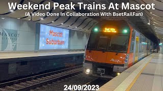 Weekend Peak Trains At Mascot [upl. by Egroeg]