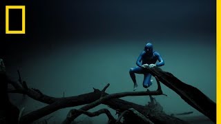 Experience the Underwater World Through the Eyes of a Free Diver  Short Film Showcase [upl. by Meelak428]