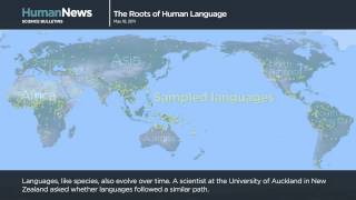 Science Bulletins The Roots of Human Language [upl. by Roberta]