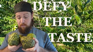 The Truth About Custard Apple Why Its Worth Trying [upl. by Itin]