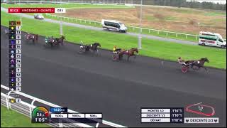 Prix De Paris Gr1 2024 Marathon Race  Hussard Du Landret amp Yoann Lebourgeois 1119 4150m [upl. by Karine]