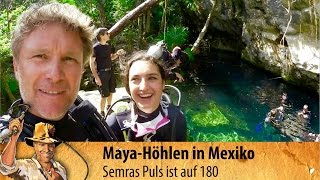 Cenoten in Mexiko Abtauchen in den Höhlen der Mayas  3 [upl. by Yeroc531]