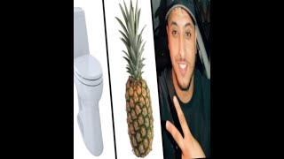 Toilet Ananas Nasdas Tiktok Meme Compilation [upl. by Itsuj]