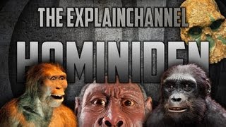 Hominiden Menschliche Evolution einfach erklärt [upl. by Einotna]