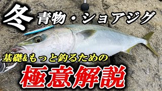 【これで釣果が大きく変わる】冬の青物・ショアジギング攻略の基礎・釣果UPのコツ [upl. by Monika]