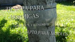 SUPER TRAMPA EN ARBOLES PARA HORMIGASECONOMICO Y FACIL [upl. by Nita]