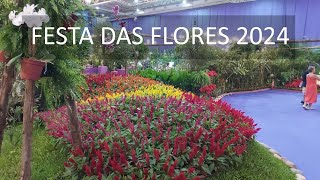 FESTA DAS FLORES 2024  JOINVILLESC [upl. by Kaasi]