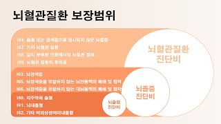 뇌혈관질환 진단비 특약 가입자가 늘어나는 이유는 [upl. by Melar]