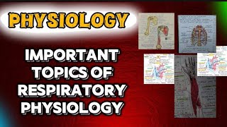 RESPIRATORY SYSTEM  IMPORTANT QUESTIONS  PHYSIOLOGY QUESTION BANK mbbs1styear [upl. by Ffilc]