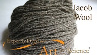 Episode 5 Jacob Wool  Fiber Talk  Expertly Dyed [upl. by Kimmi]