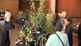 Bay Area Carnivorous Plant Society Plant Show Spring 2010  BACPS [upl. by Mikiso]