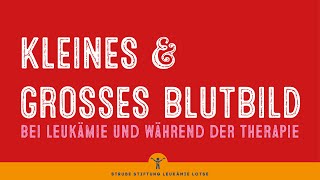 Kleines und Großes Blutbild bei Leukämie und während der Therapie [upl. by Celine]