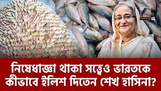 নিষেধাজ্ঞা সত্ত্বেও ভারতকে ইলিশ দিতেন শেখ হাসিনা  Maasranga News [upl. by Eleinad641]