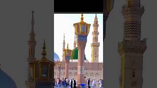 getting to know my rab and my sab allah  islamis sorts video allah huakbar  allah हूआकबार [upl. by Kelly163]