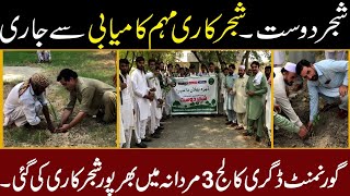 climate action  Damaan and Shajar Dost Tree Planting in dikhan  Tree  Tree Planting Billion Tree [upl. by Salomone145]