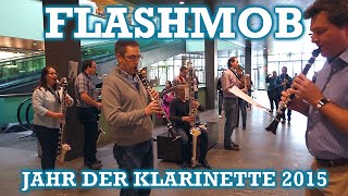 KlarinettenFlashmob Jahr der Klarinette 2015 [upl. by Batista]