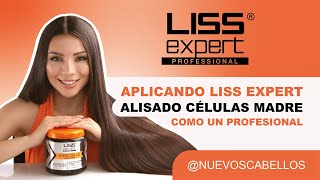 Tutorial profesional APLICACIÓN del Alisado CÉLULAS MADRE LISS EXPERT logra el mejor acabado ✨ [upl. by Ahsa]