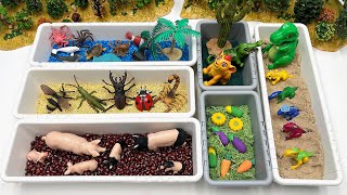 6 Type Small World For Animals  Farm Animals Sea Ocean Animals And Dinos [upl. by Brina]