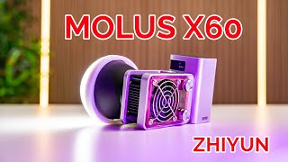 Ein Videolicht  So klein und so stark  MolusX60 [upl. by Baptiste]