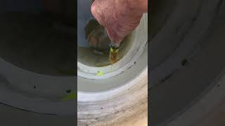 Fibreglass swimming pool leak detection amp repair in Shailer Park [upl. by Kym471]