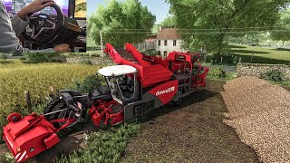 Potato harvesting with new Dewulf harvester  Thrustmaster t248  Farming Simulator 22 [upl. by Greff85]