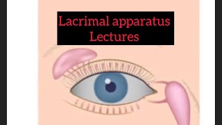 Lacrimal apparatus lectures part 2 Eye lectures eyelectures eye jatoi lacrimalgland [upl. by Shifrah]