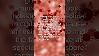 Uses of endosporessporesmicrobiologymicroorganismsfactsytbiologyytshortssciencemedical [upl. by Nide]