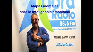 Mapas mentales para la inteligencia emocional MENTE SANA [upl. by Ten]