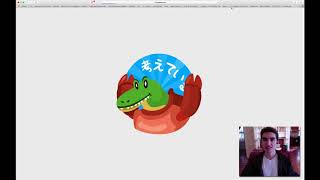 WaniKani Review HOW TO USE amp VIRTUAL TOUR [upl. by Malti709]