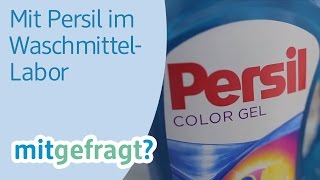 Wäsche sauber waschen Im WaschmittelLabor von Persil  dm mitgefragt Folge 25 [upl. by Egas]